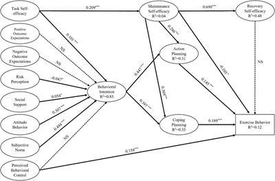 Understanding physical exercise among individuals with substance use disorders using an integrated theoretical perspective of the health action process approach and theory of planned behavior